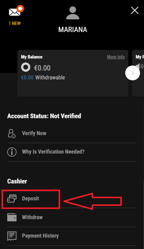Опция пополнения счета в меню профиля на сайте БК Bwin