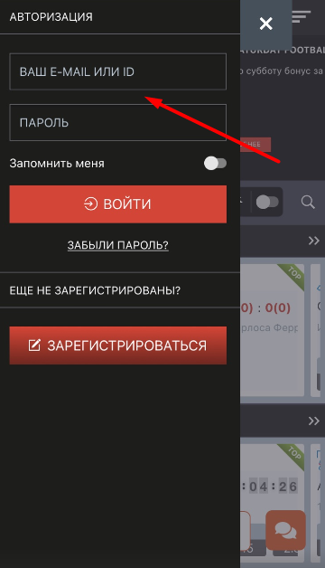 Форма авторизации в мобильной версии сайта БК MegaPari