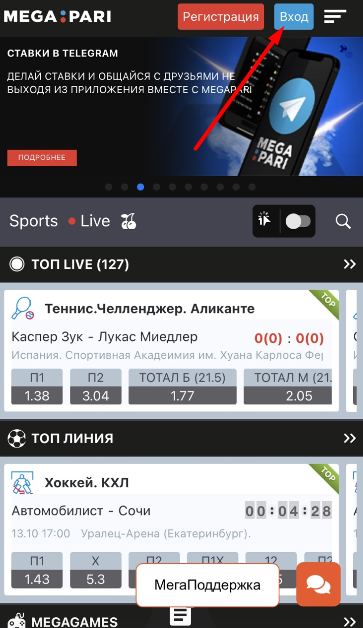 Кнопка авторизации в мобильной версии сайта БК MegaPari