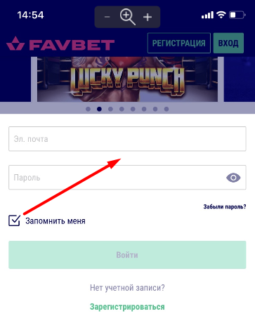 Форма авторизации в мобильном приложении Favbet для iOS