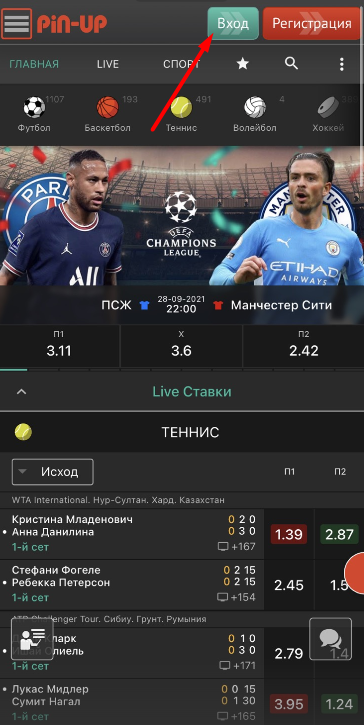 Кнопка авторизации в мобильном приложении Pin-Up bet для iOS