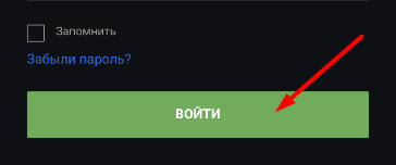 Кнопка «Войти» в форме авторизации в мобильной версии сайта БК GGbet