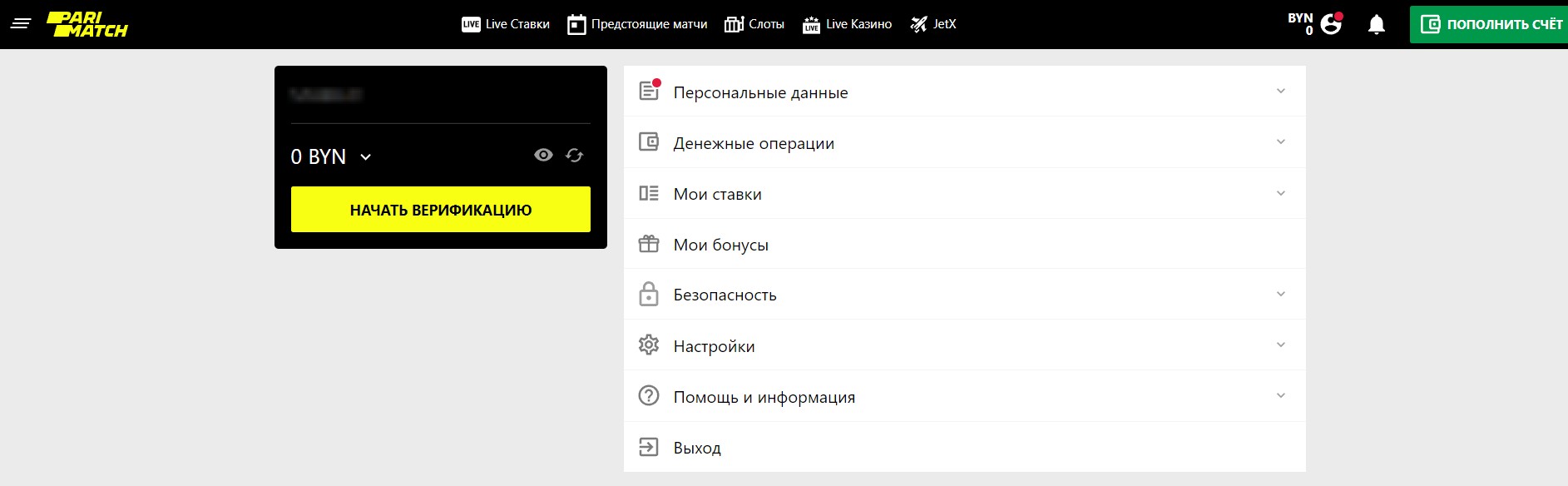 Кнопка "Начать верификацию" на сайте БК Pm.by