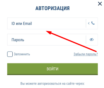 Форма авторизации в мобильном приложении БК 1xbet.kz для iOS