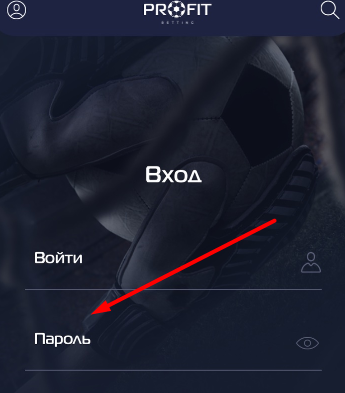 Форма авторизации в мобильном приложении БК Profit Betting для iOS
