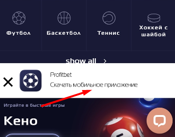 Баннер с предложением скачать мобильное приложение БК Profit Betting для iOS на сайте букмекера