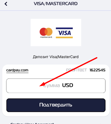 Ввод суммы пополнения счета в мобильном приложении БК Profit Betting для iOS