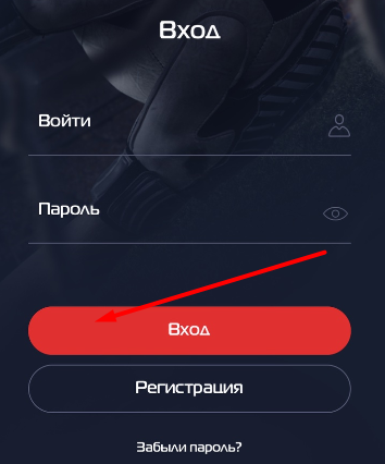 Кнопка входа в форме авторизации в мобильном приложении БК Profit Betting для iOS