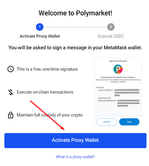 Кнопка активации Proxy Wallet