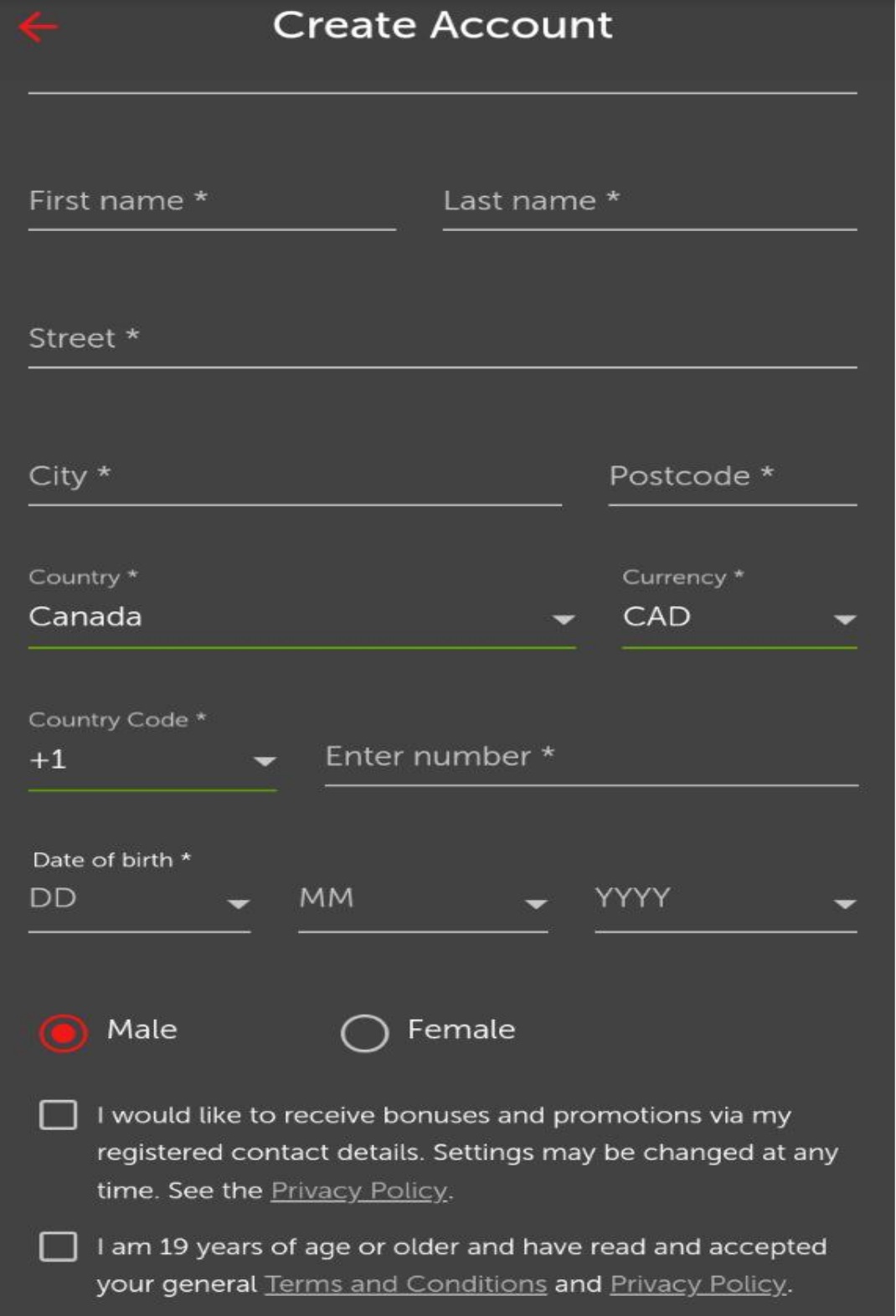 Форма регистрации в мобильном приложении БК Betsafe для iOS