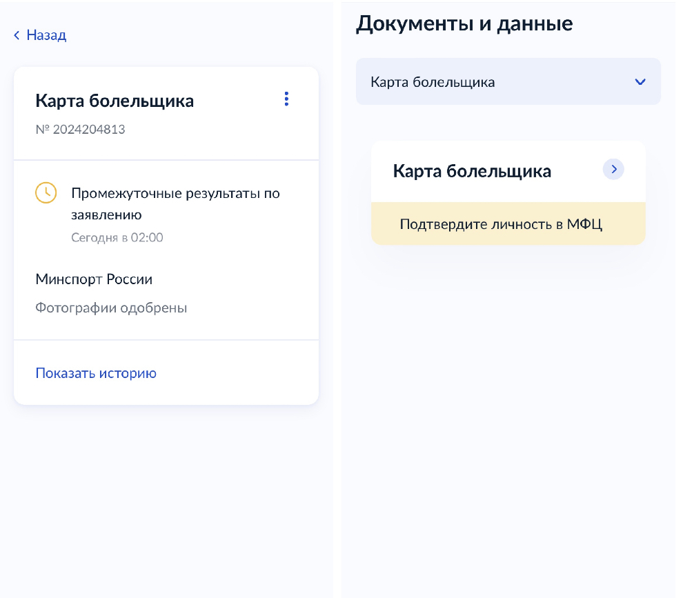 Скриншот