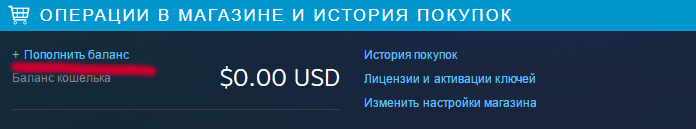 4_Пополнение кошелька стим через другие сервисы