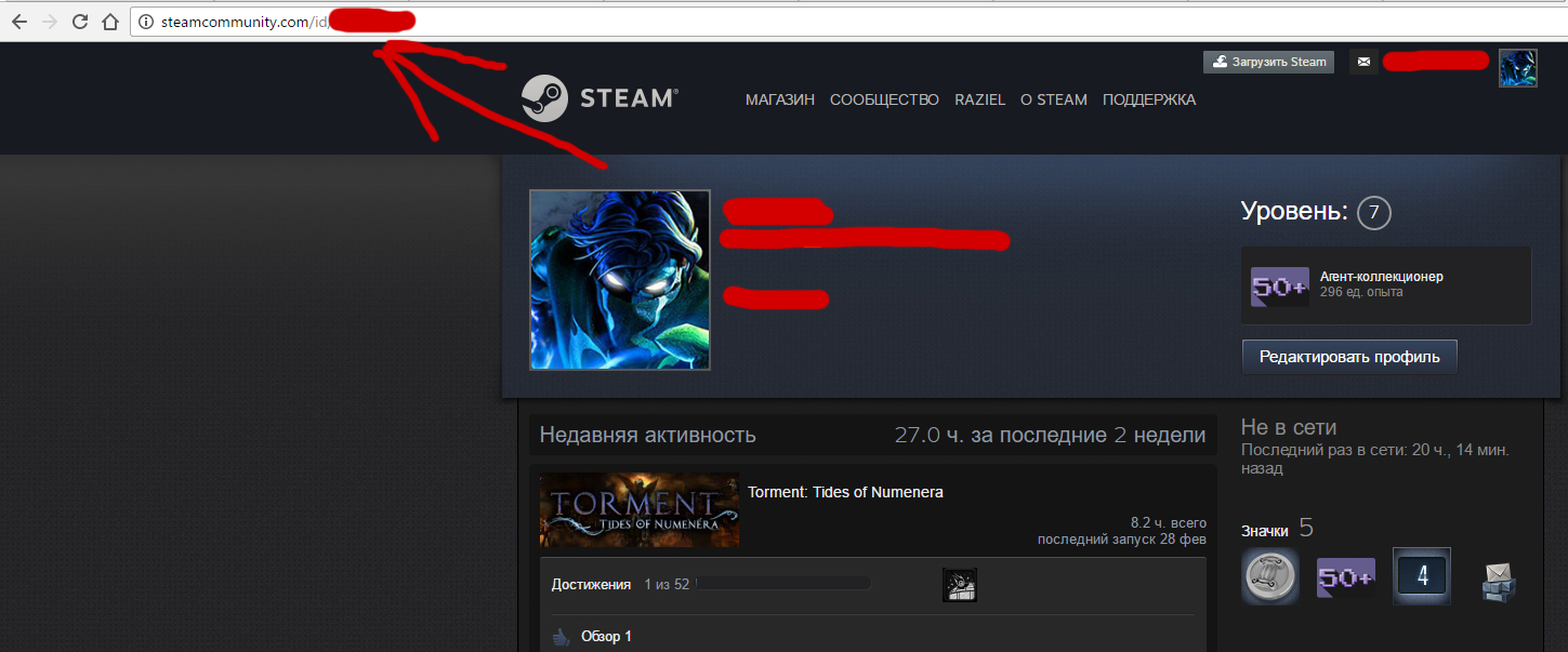 2_URL профиля для ввода в Steam Currency
