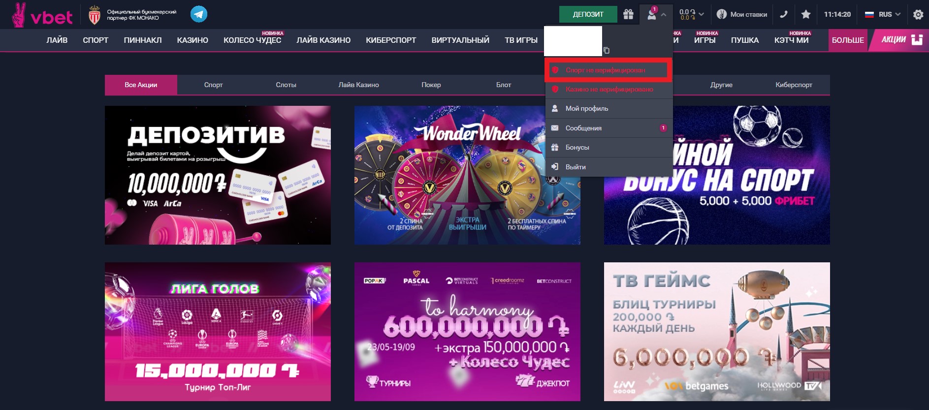 Переход в раздел верификации на сайте БК Vbet
