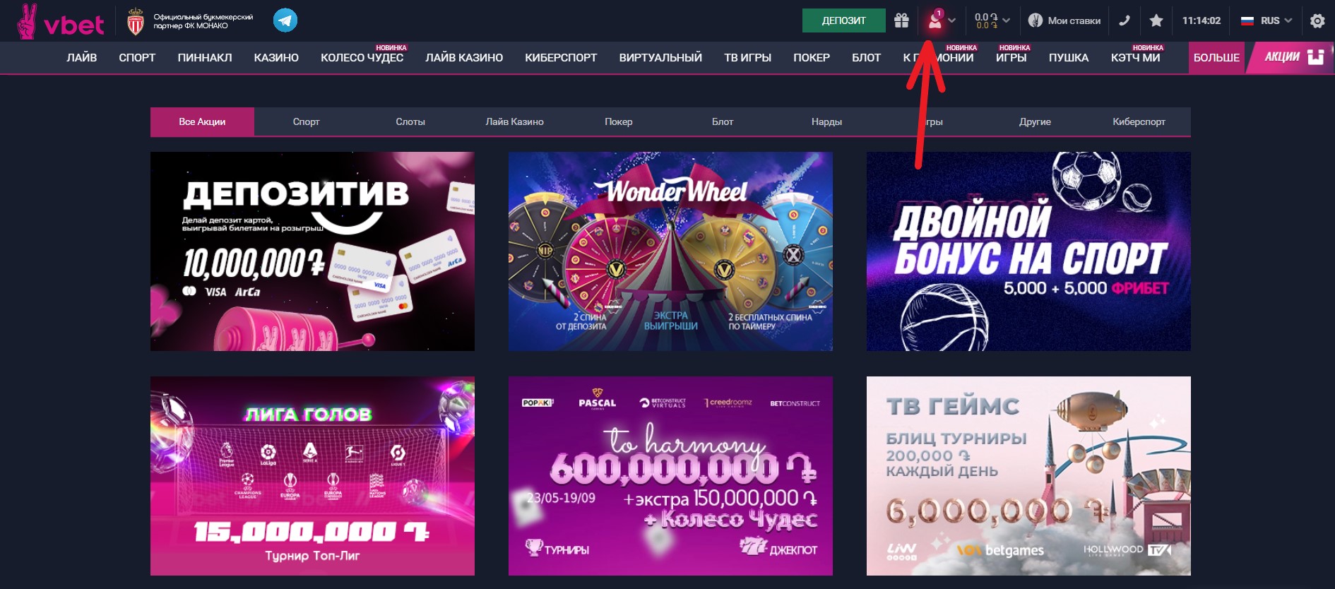 Иконка личного профиля на сайте БК Vbet