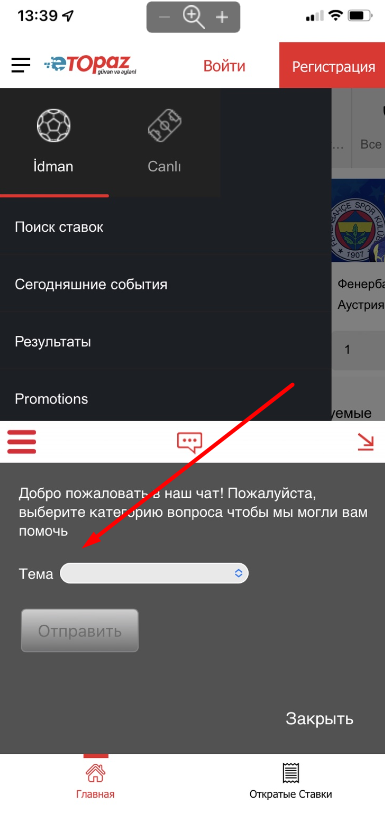 Выбор темы обращения в лайв-чате в приложении БК eTopaz для iOS