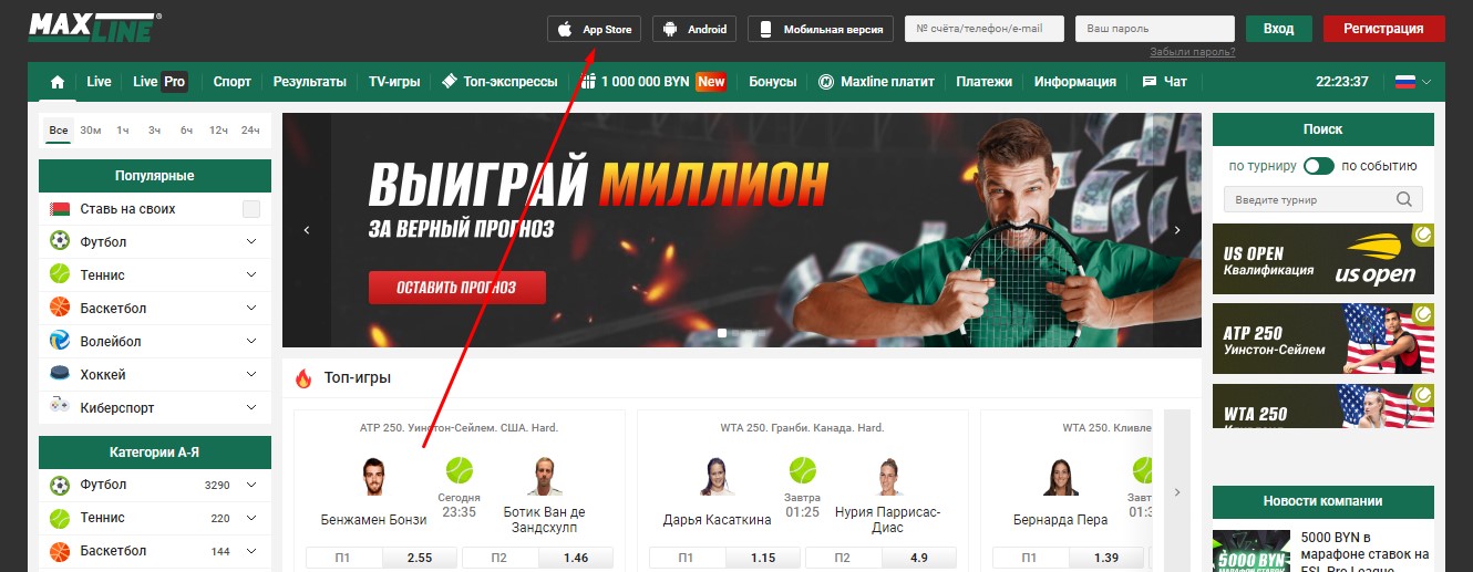 Раздел установки приложения БК Maxline для iOS