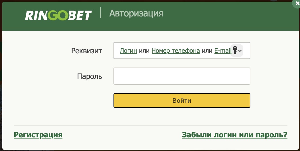 Авторизация на сайте БК Ringobet