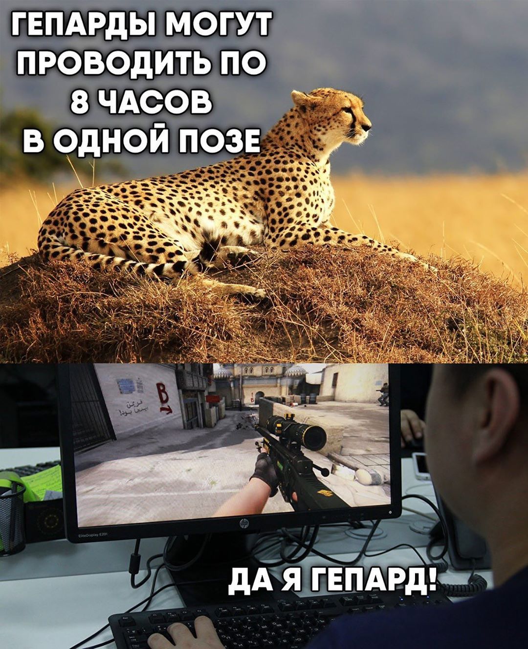 Приколы в КС ГО