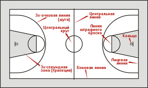 Разметка баскетбольной площадки