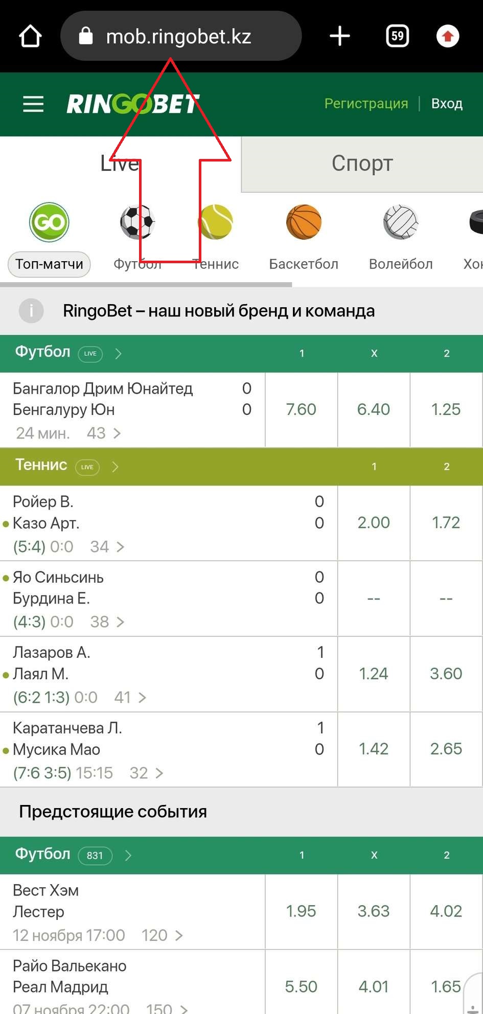 Мобильная версия сайта БК Ringobet