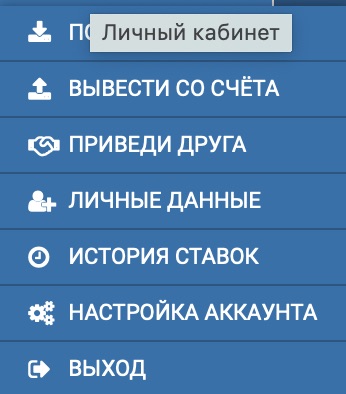 Личное меню на сайте БК 1xbet