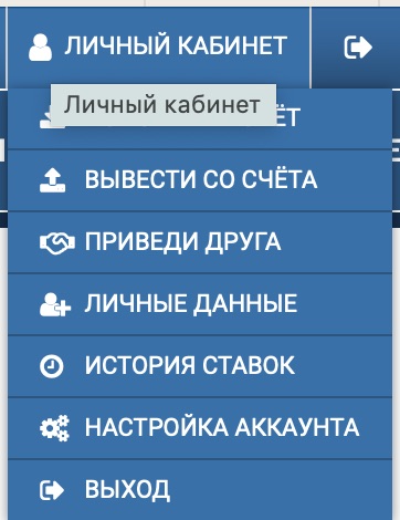 Меню профиля на сайте БК 1xbet.kz