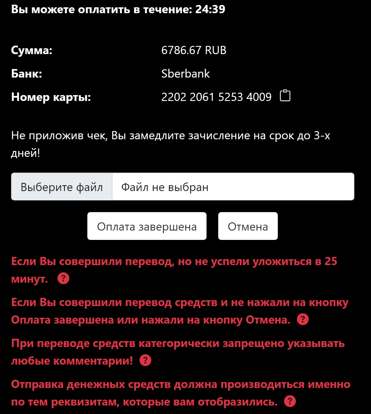 Форма оплаты на сайте БК Vodds