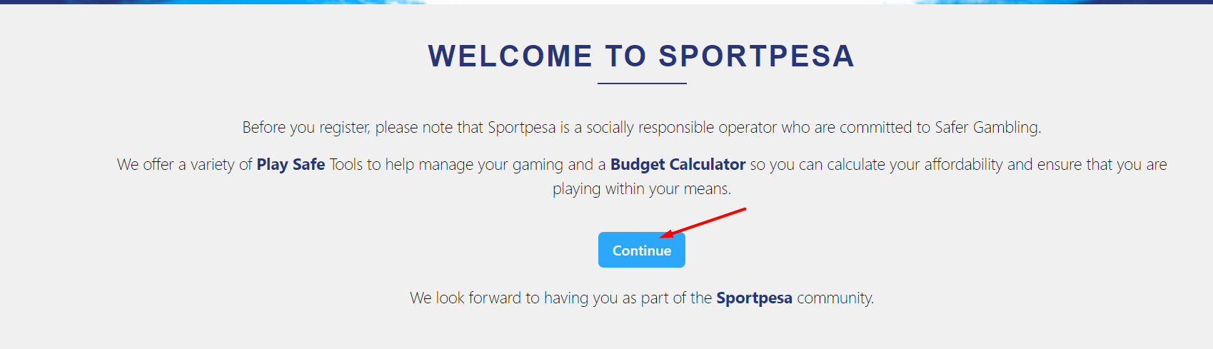 Согласие с правилами при регистрации на сайте БК Sportpesa