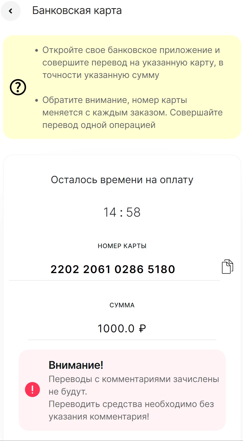 Ввод реквизитов карты и суммы при пополнении счета на сайте БК Zenitbet