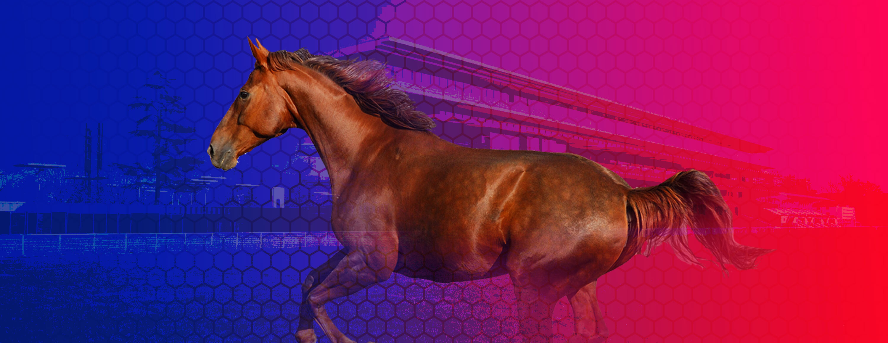 25% к выигрышу ставки на лошадиные скачки от БК Betfred