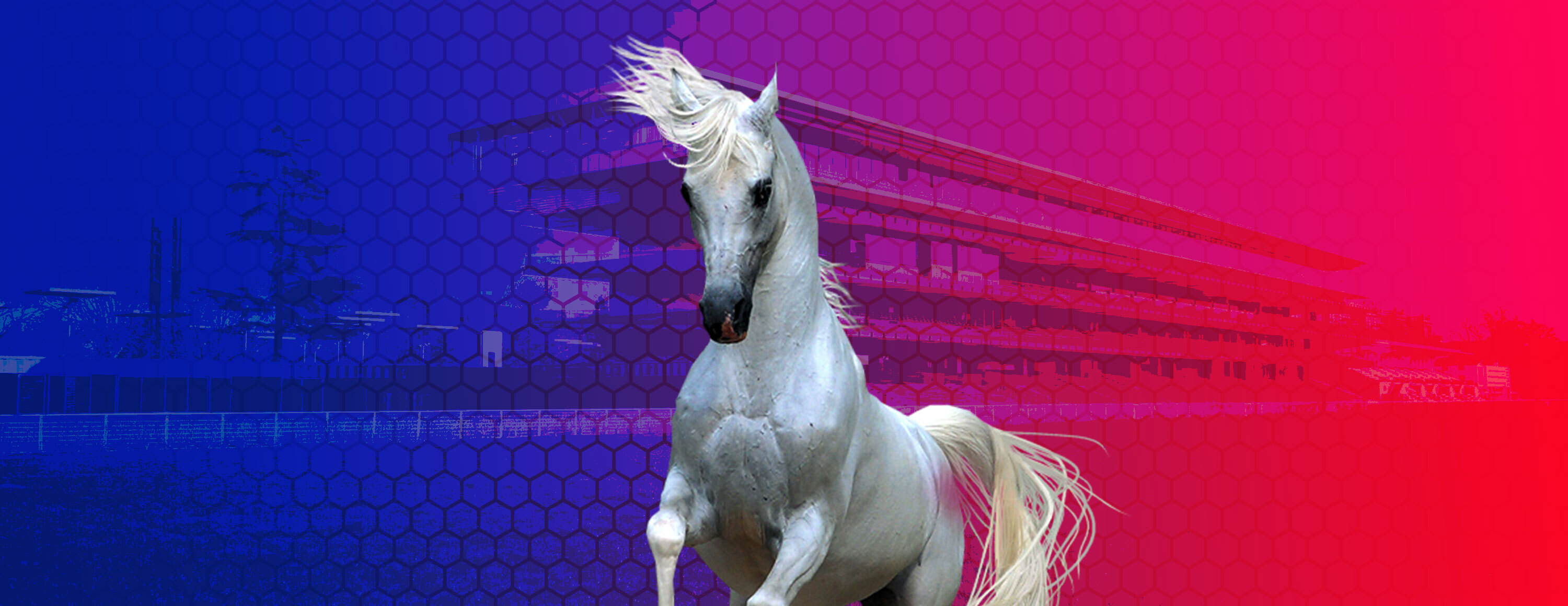 Увеличенные коэффициенты на лошадиные скачки от БК Betfred