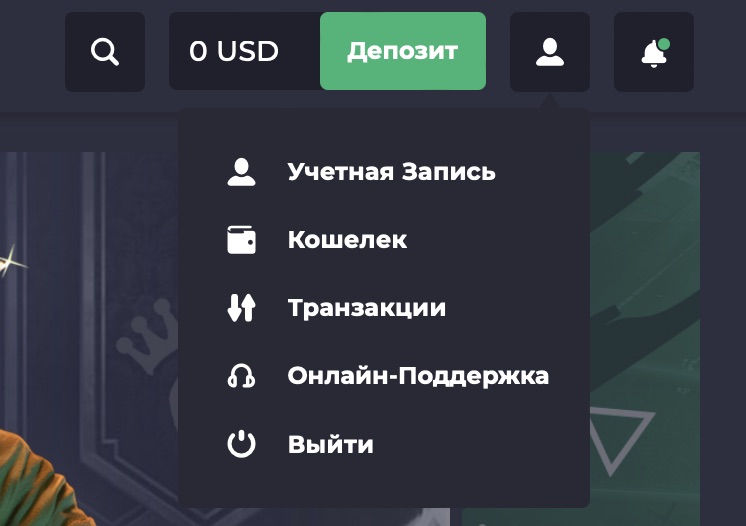 Меню профиля на сайте БК Winning