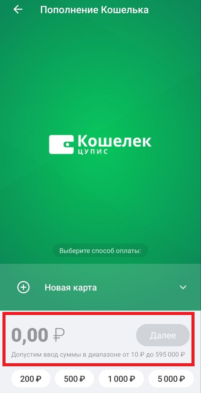 Пополнить счет ЕЦУПИС 2