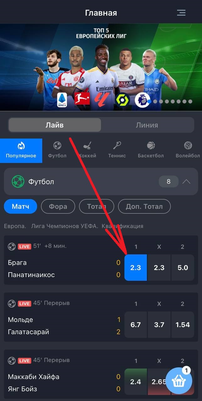 Выбор события для заключения пари в мобильном приложении БК Балтбет для iOS 