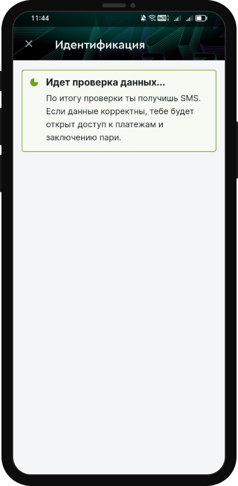 Успешное прохождение идентифкации в БК Pari