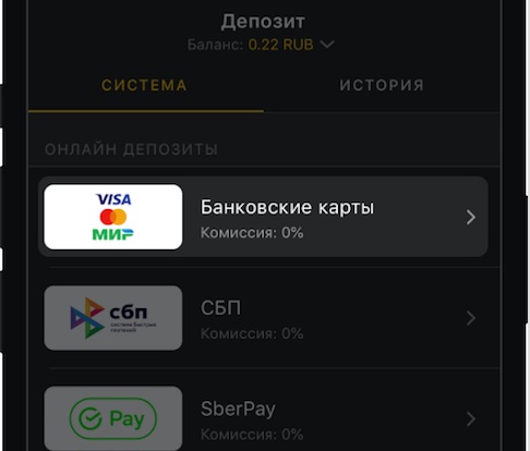 Выбор банковской карты в мобильном приложении Мелбет