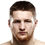 Владимир Минеев
