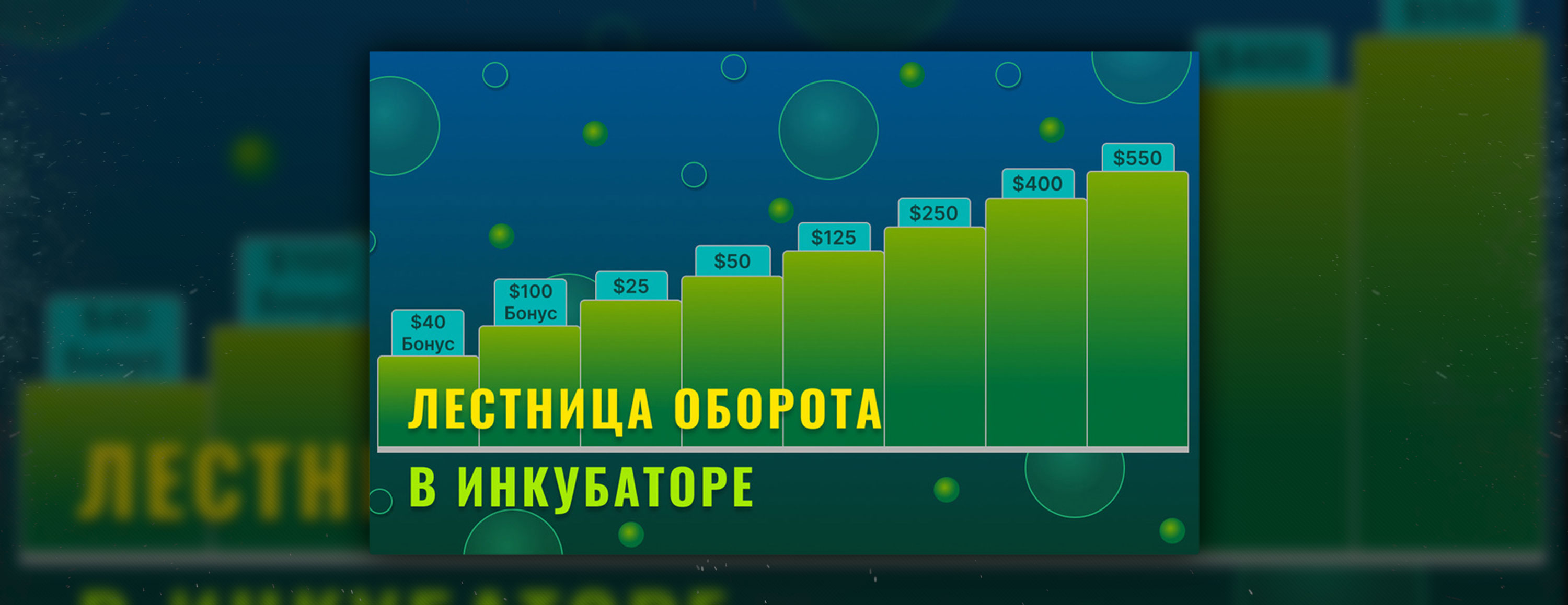 Акция «Лестница оборота в инкубаторе» от БК EGB
