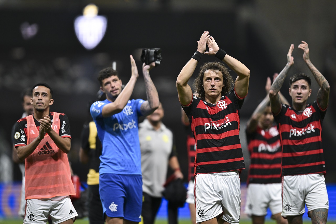 Давид Луиз, «Фламенго» (фото: Pedro Vilela/Getty Images)