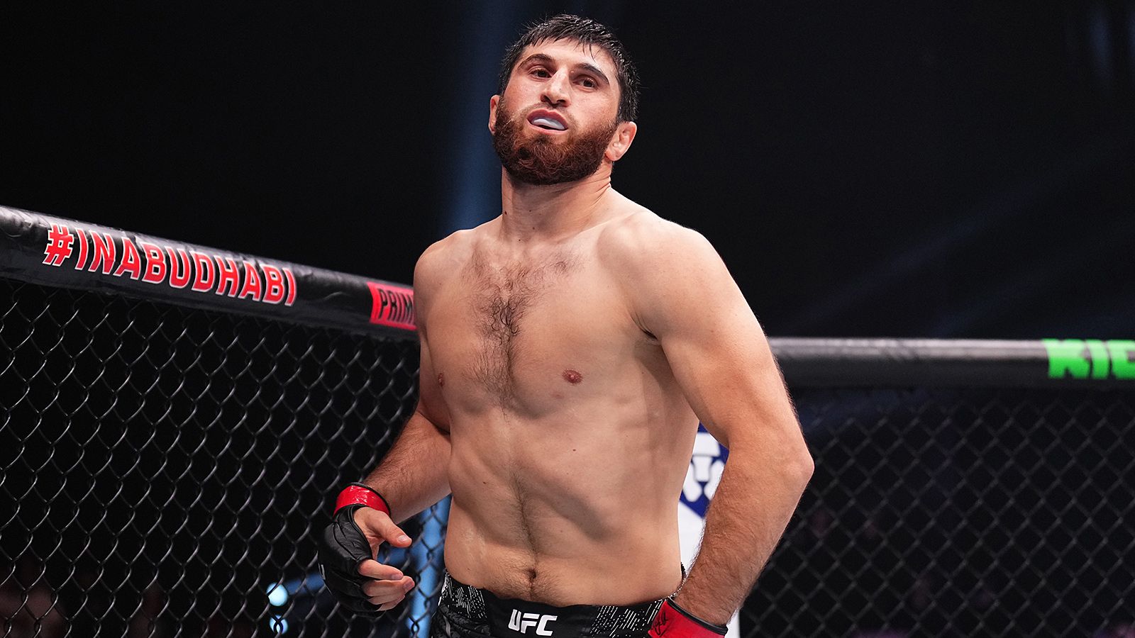 Анкалаев и Перейра сделали вес перед турниром UFC 313