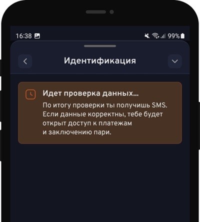 Ожидание проверки данных с Единого ЦУПИС