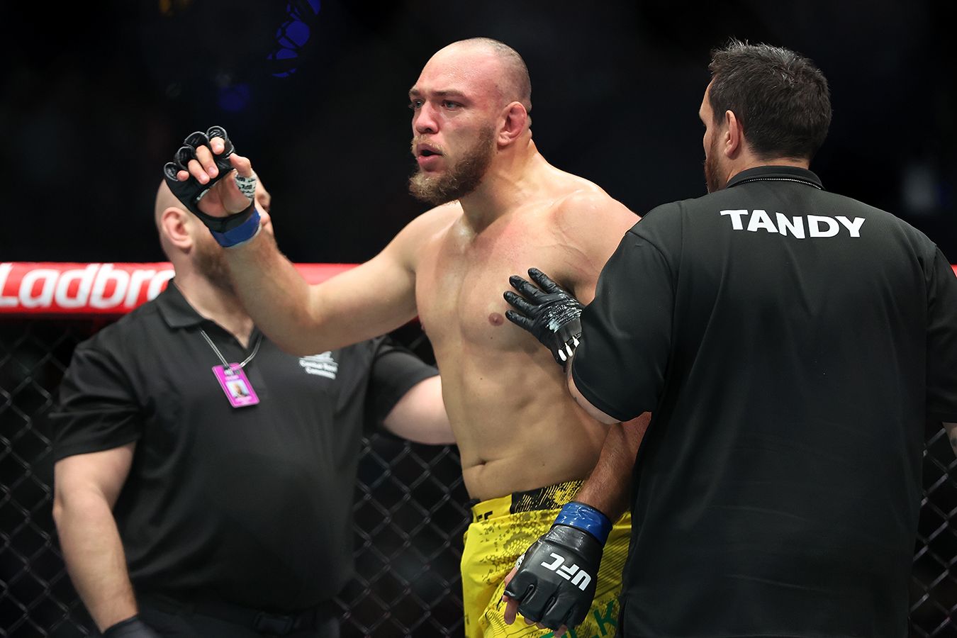 Кэф 5,50 на фирменный прием Уокера: тяжеловес идет за рекордом UFC в бою против Петерсена
