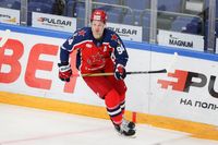Дисквалифицированный за допинг хоккеист Каменев продолжит карьеру в ECHL