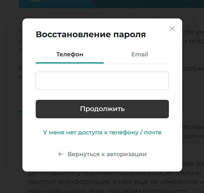 Введите номер телефона или адрес электронной почты, указанные при регистрации, и нажмите «Продолжить».
