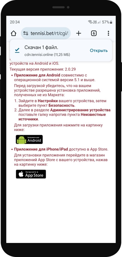 Тенниси приложение 2