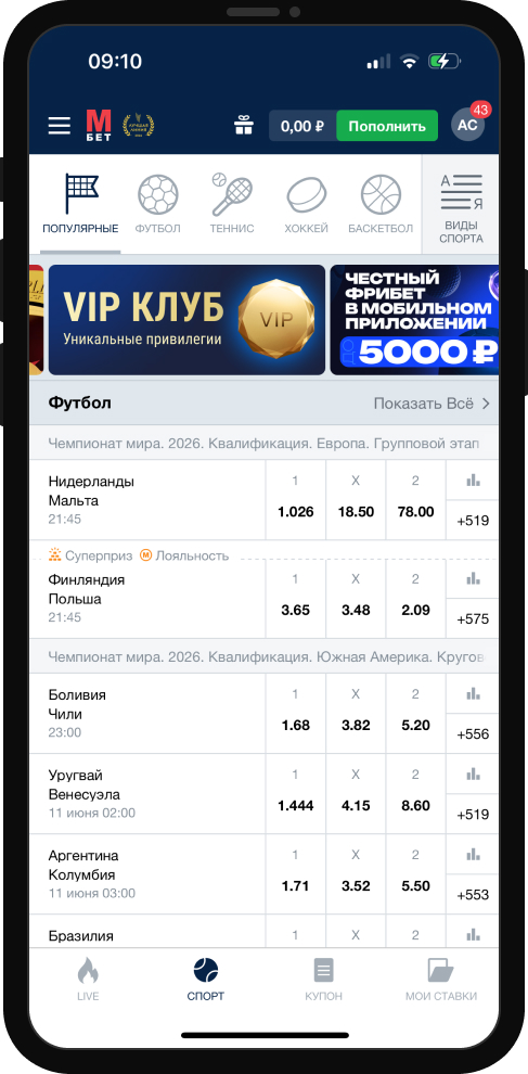Фора в букмекерских конторах