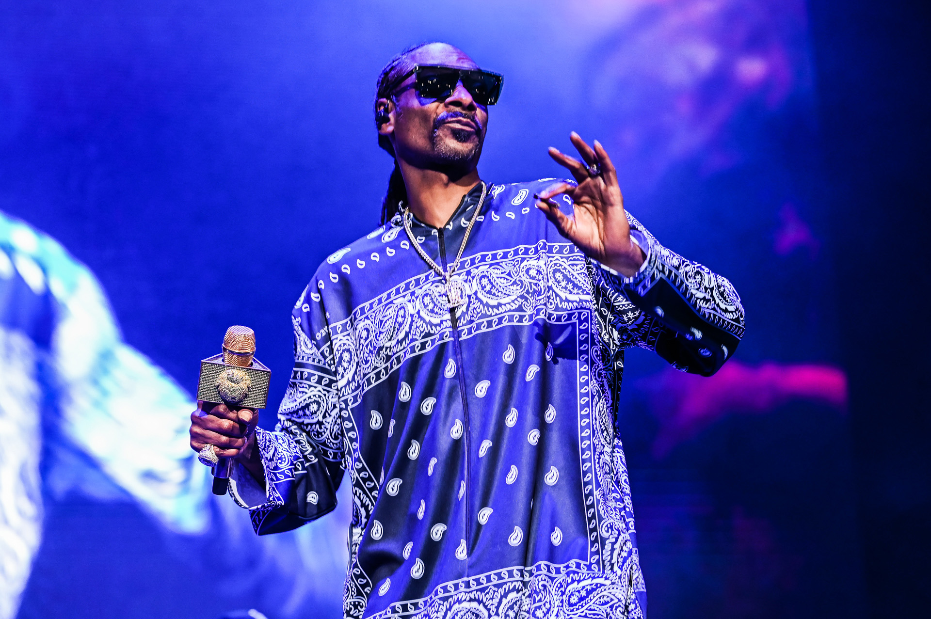 Рэпер Snoop Dogg стал совладельцем «Суонси»