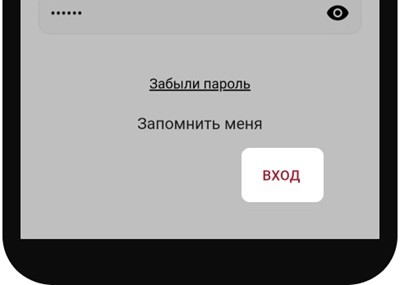 Нажмите кнопку «Вход». После этого вы попадете в личный кабинет.