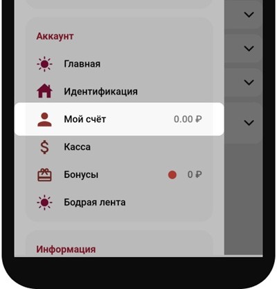 Пополнение Тенниси